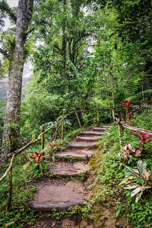 a path to Banyumala twin waterfall