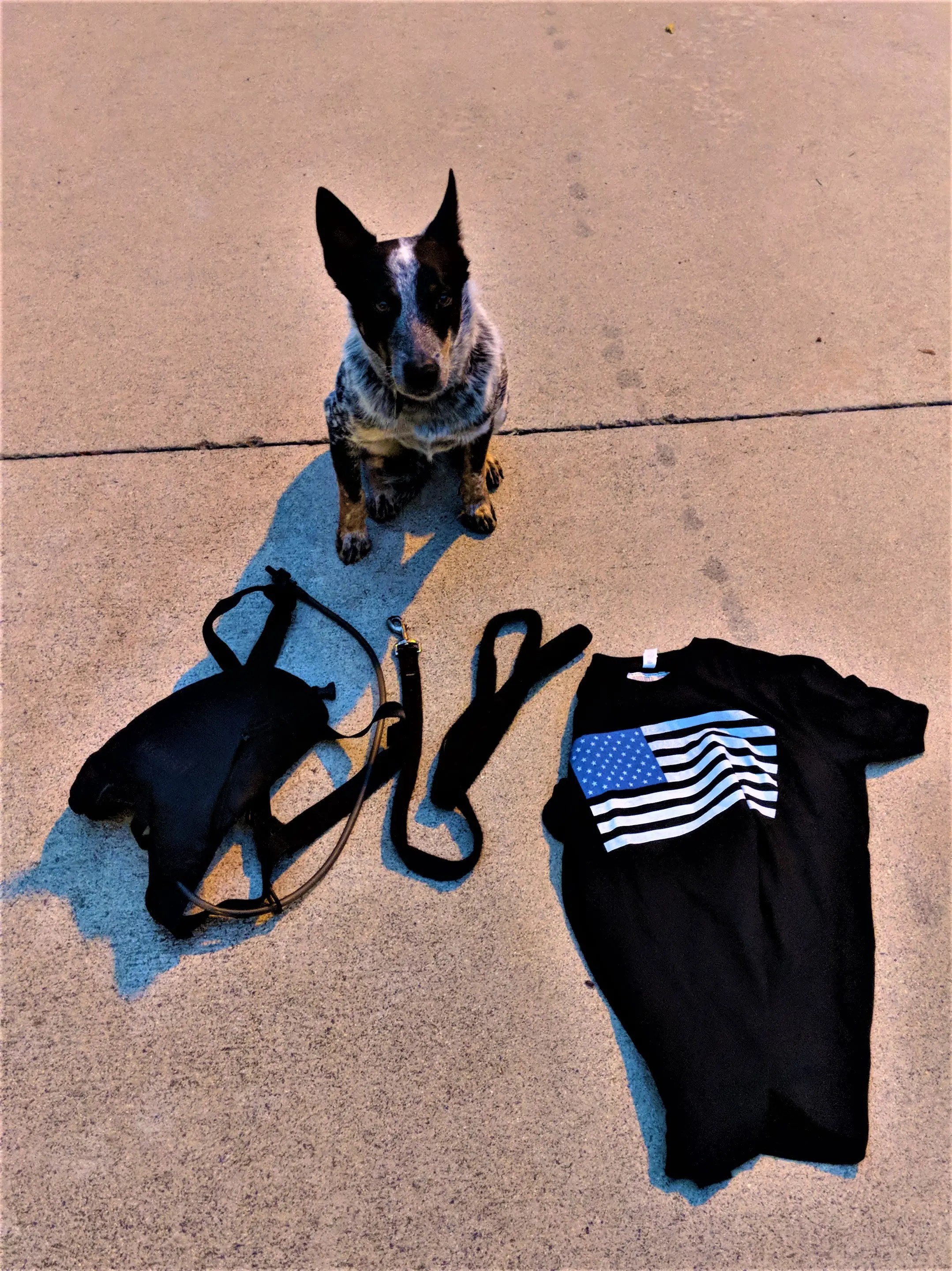 Preperation For A Run With Dog, Camel-back, and T-Shirt