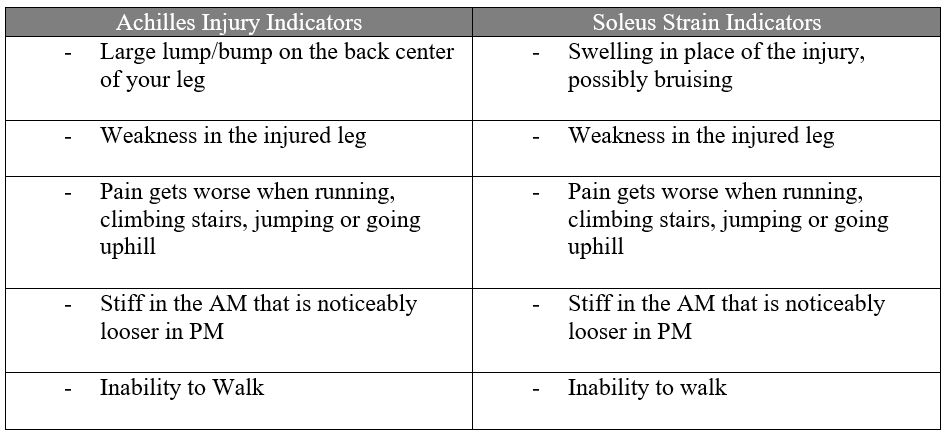 Lower Leg Pain Symptoms