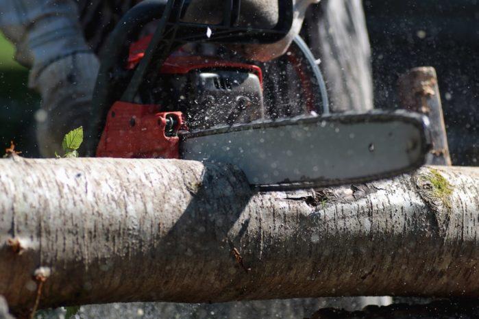 Best Electric Chainsaws in the Market | Top Chainsaw Brands Best Electric Chainsaws in the Market | Top Chainsaw Brands