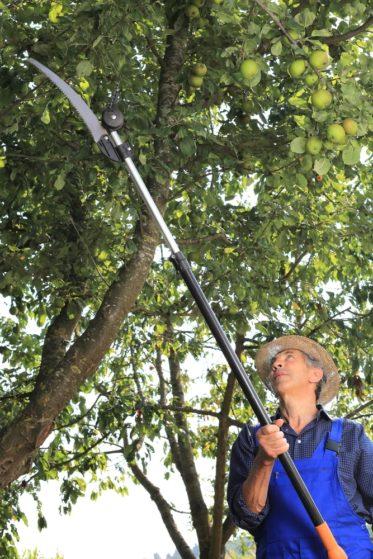 Getting the Best Pole Saw For Your Yard Maintenance – 2019 Edition Getting the Best Pole Saw For Your Yard Maintenance – 2019 Edition
