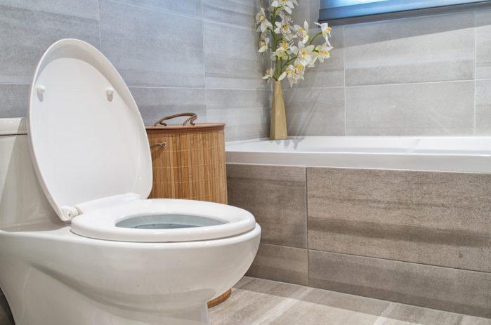 Toilet Flange 6 Inexpensive Bathroom Remodeling Ideas