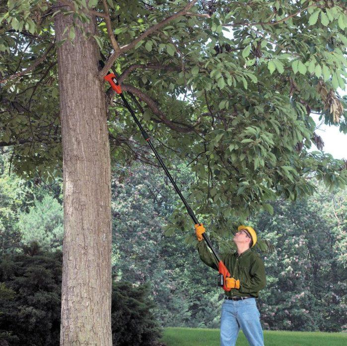 Pole Pruners What is The Best Tree Pruner? Let This Guide Tell You!