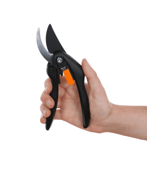 Pruning Shears What is The Best Tree Pruner? Let This Guide Tell You!