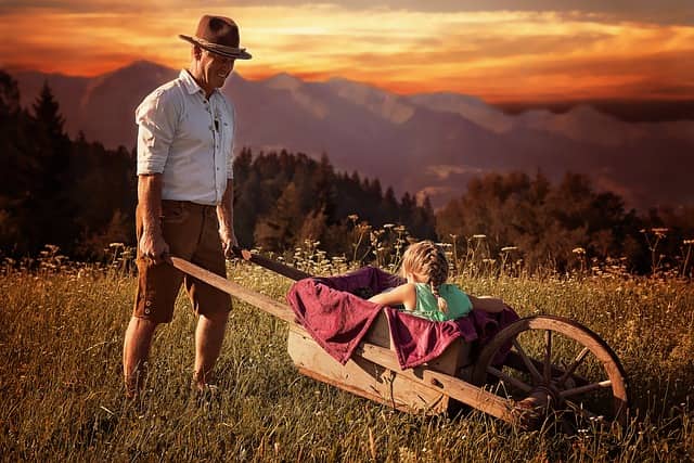12 Best Wheelbarrows Buying Guide & Reviews Wheelbarrows