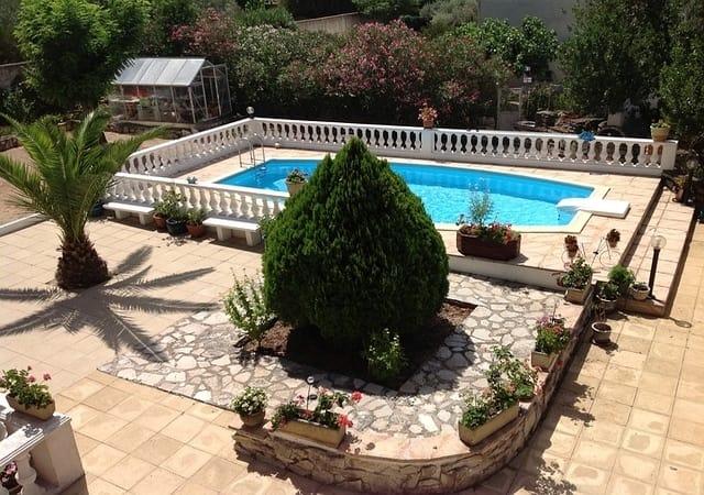 swimming pool in backyard Swimming Pool Algae