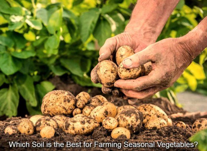 Soil-Types Soil Types