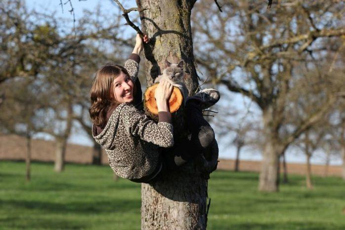 How to climb trees How To Climb Trees