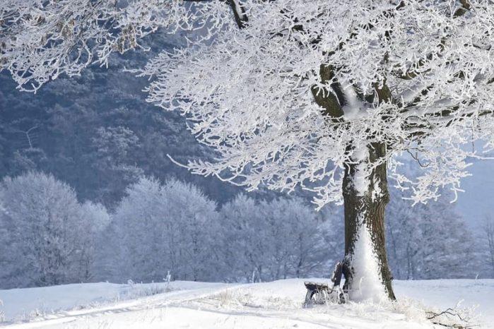 Winter Winter