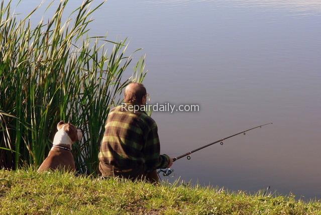 fishing fishing