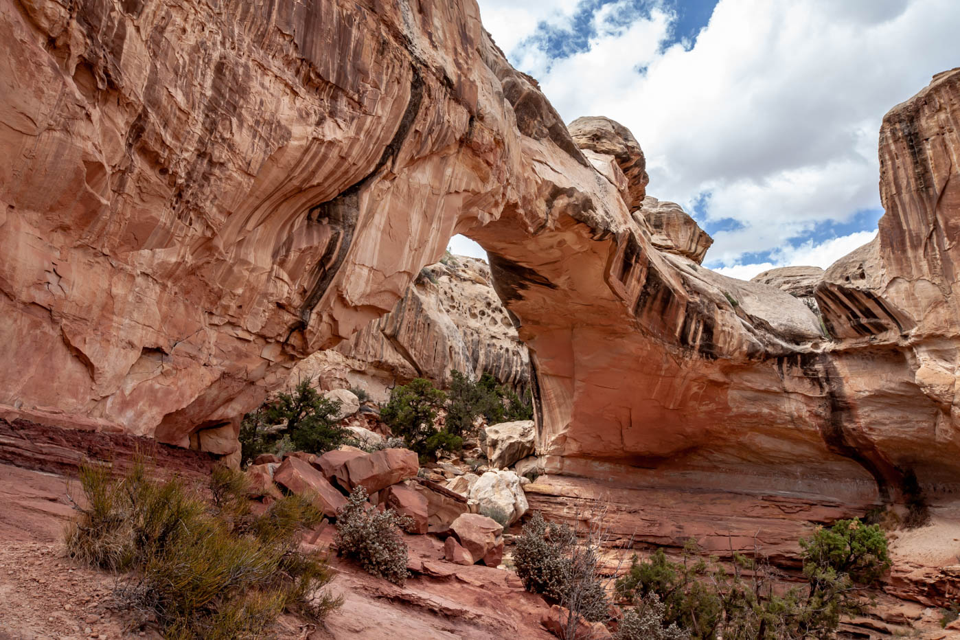 How To Hike To Hickman Natural Bridge At Capitol Reef National Park