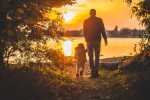 Life Insurance Trusts