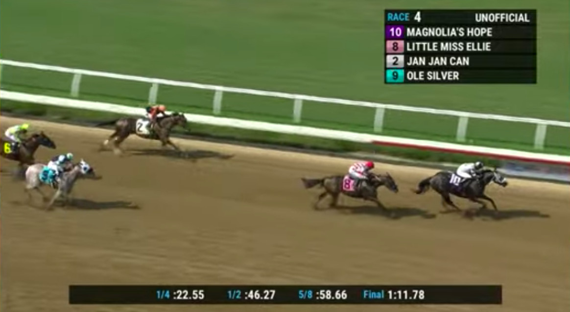 2 Horses Injured In Races At Del Mar Track Expected To Recover Times Of San Diego