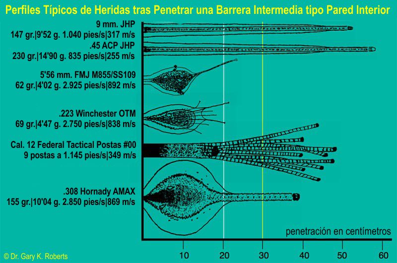 Perfiles Típicos de Heridas tras Penetrar una Barrera Intermedia tipo Pared Interior