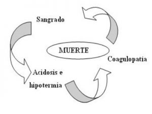 triada
