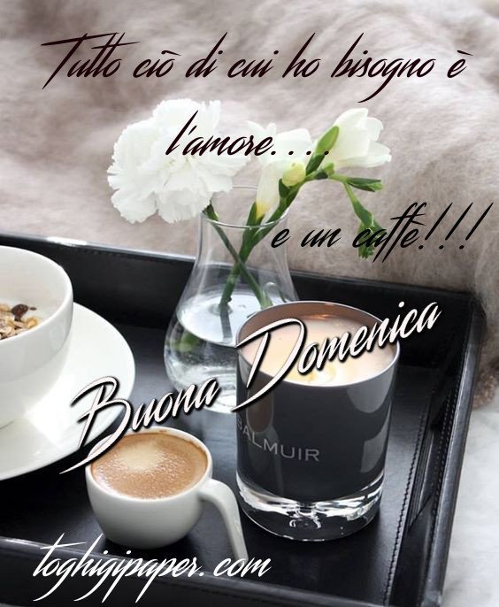 Buongiorno Immagini Nuove Divertenti Toghigi Paper Buona Domenica