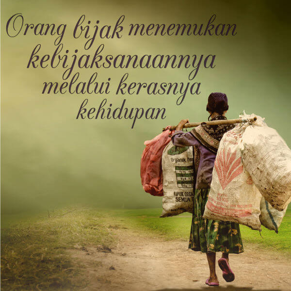 Kongregasi ini dimulai dengan 13 orang anggota di kalkuta, kini telah lebih dari 4.000 suster menjalankan panti asuhan, rumah bagi penderita aids dan pusat amal di seluruh dunia, dan merawat para pengungsi, pecandu alkohol, orang buta, cacat, tua, orang miskin dan tunawisma, korban banjir, dan wabah kelaparan. Kata Kata Tentang Kehidupan Miskin