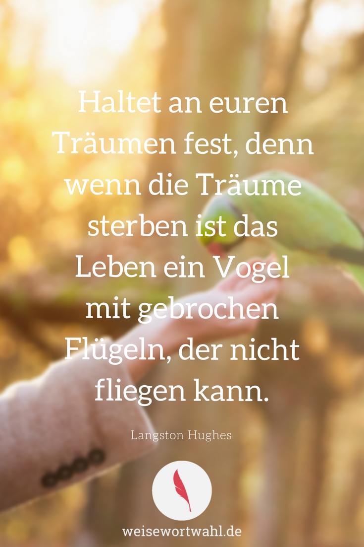 Haltet An Euren Traumen Fest Denn Wenn Die Traume Sterben Ist Das Leben Ein Vogel Mit Gebrochen Flugeln Der Nicht Fliegen Kann Langston Hughes Weise Wortwahl