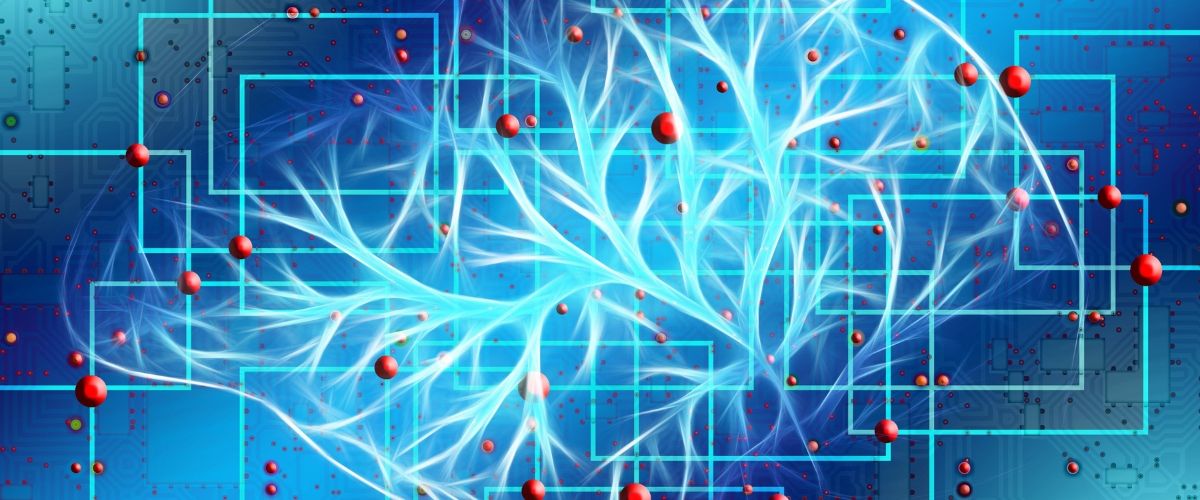 Neuroborreliosis A Cause Of Lyme Brain Fog Antonia Frank Neuroborreliosis A Cause Of Lyme Brain Fog Antonia Frank