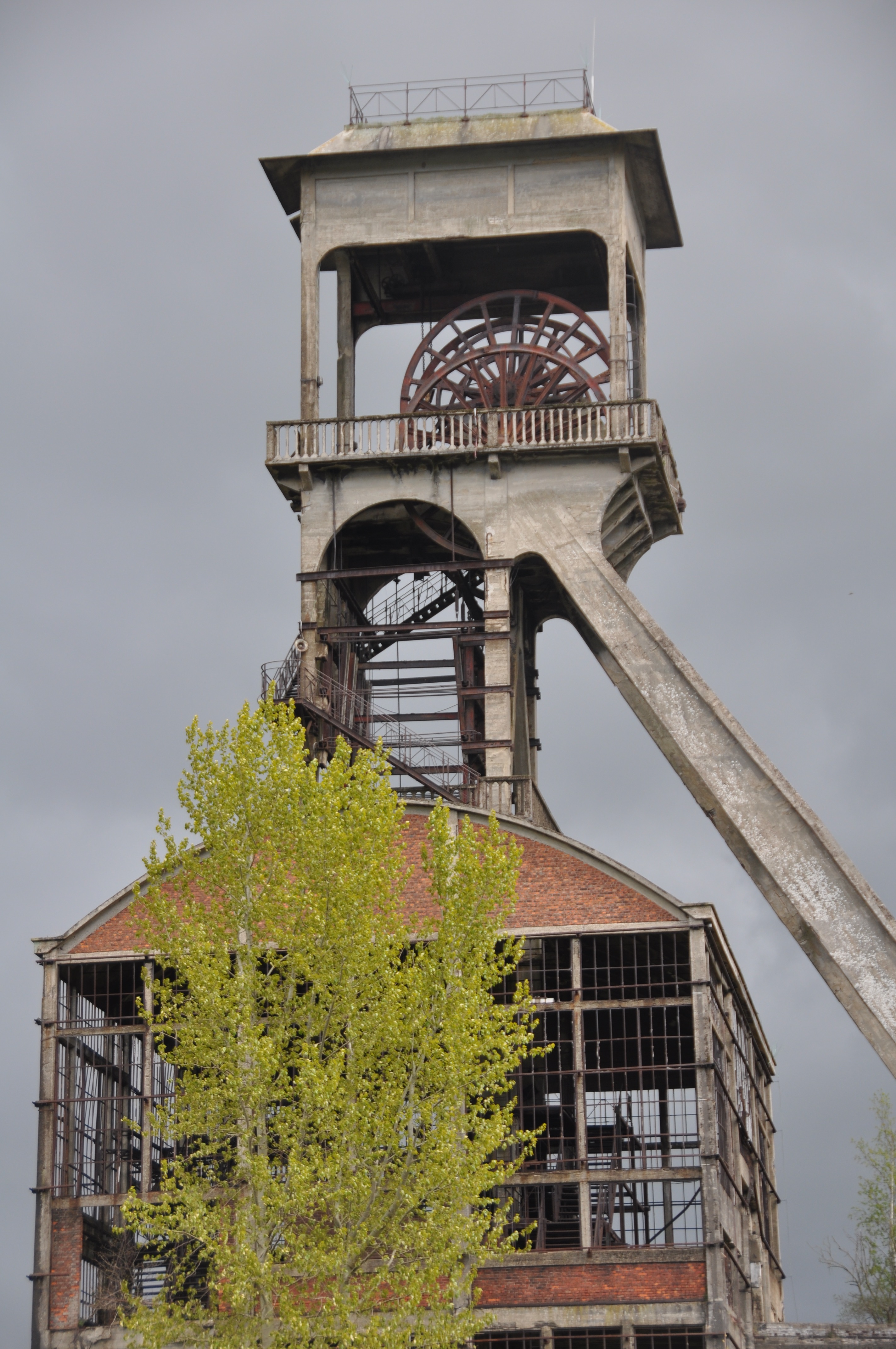 Nationaal Park Hoge Kempen
