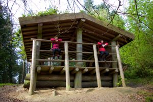 Bierbeek bos