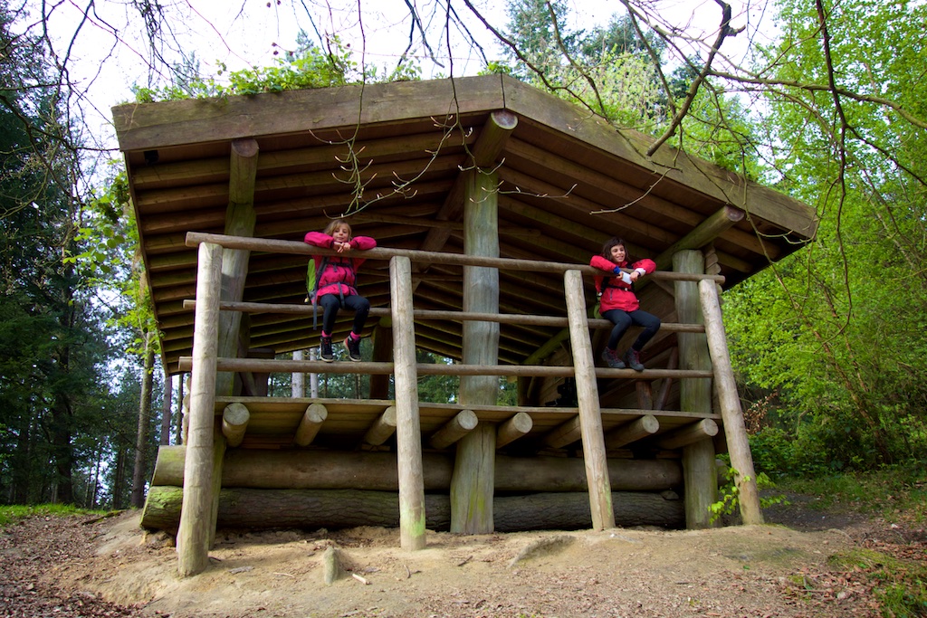 Bierbeek bos