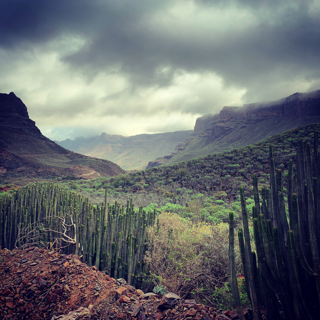 GR 131 Gran Canaria
