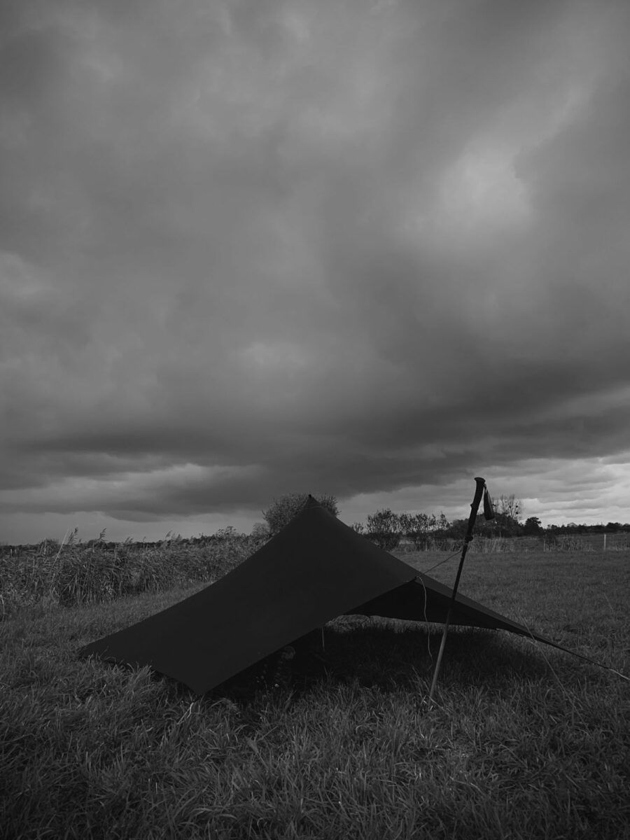 tarp