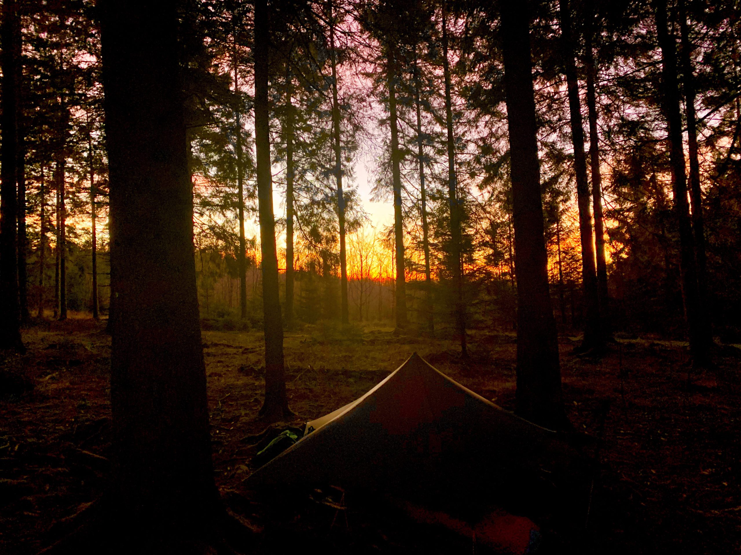 Trailstar