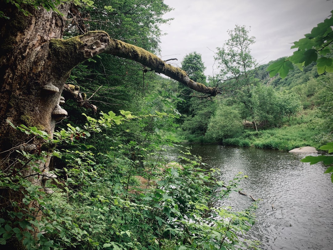 Ourthe