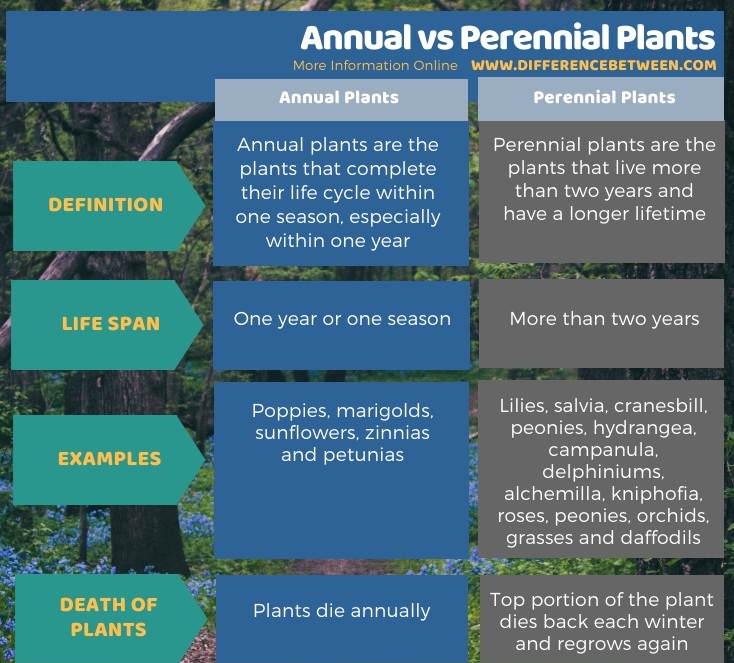 Difference Between Annual and Perennial Plants - Tabular Form