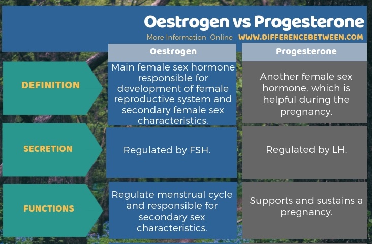 Difference Between Oestrogen and Progesterone in Tabular Form