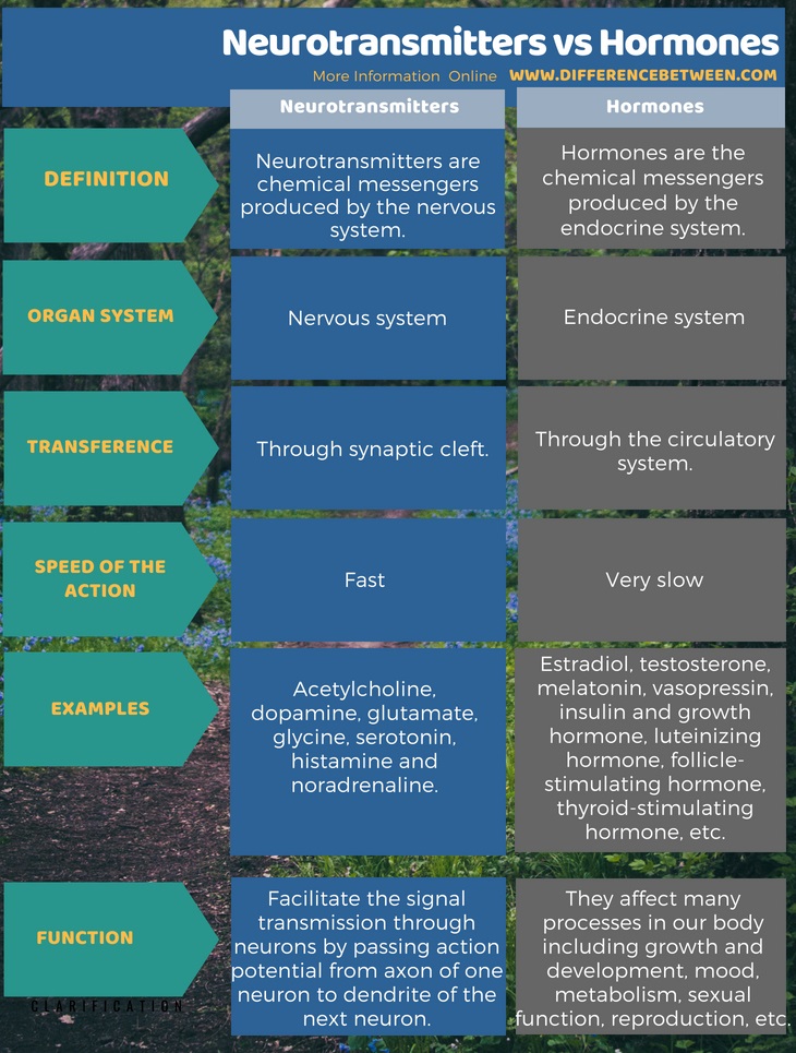 Difference Between Neurotransmitters and Hormones in Tabular Form