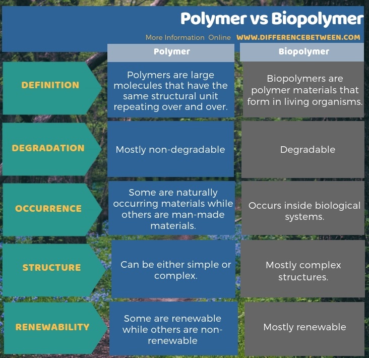 Difference Between Polymer and Biopolymer in Tabular Form