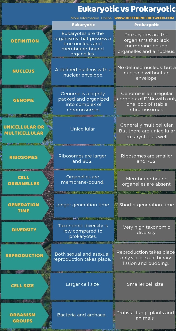 Difference Between Eukaryotic and Prokaryotic in Tabular Form