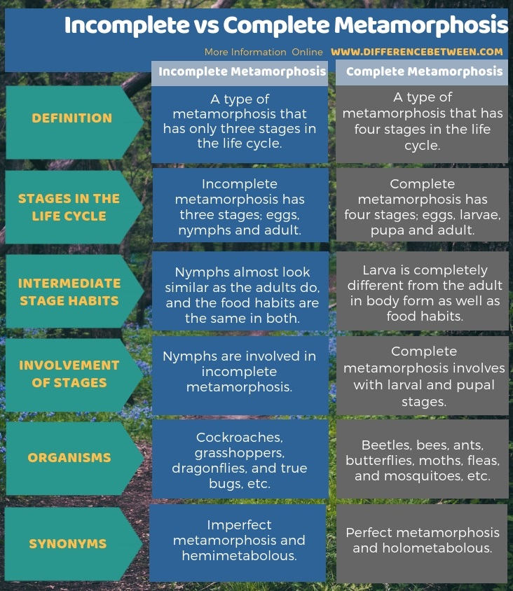 Difference Between Incomplete and Complete Metamorphosis in Tabular Form