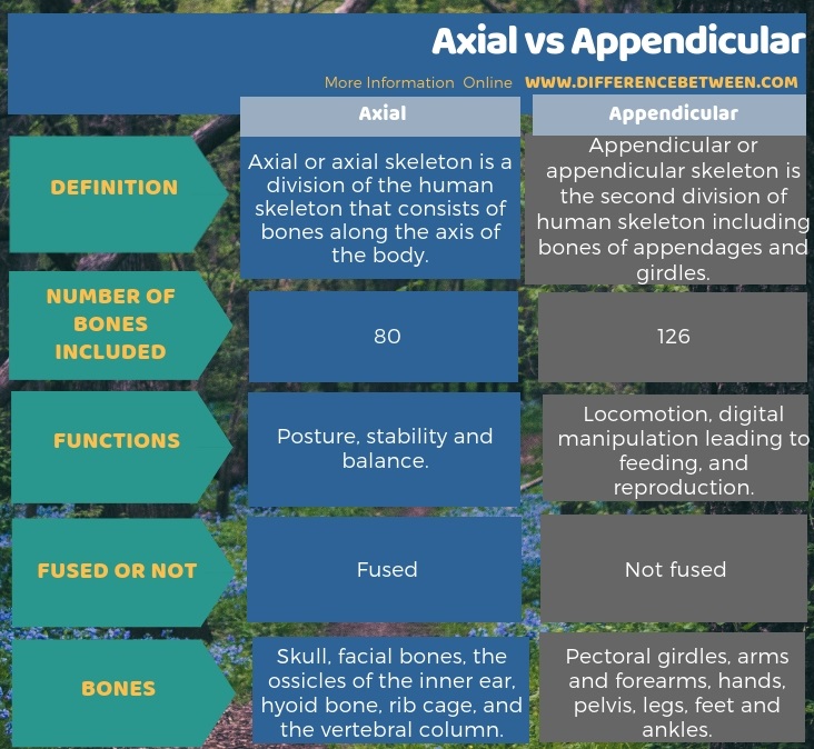 Difference Between Axial and Appendicular in Tabular Form