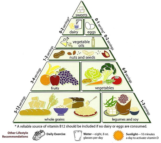 Difference Between Food Chain and Food Pyramid