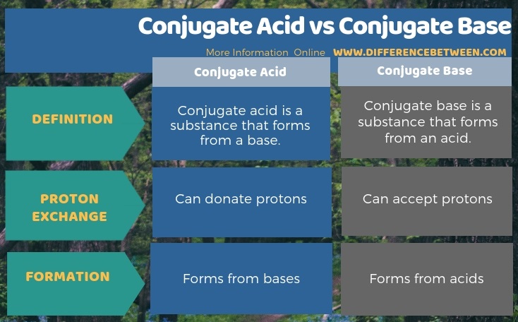 Difference Between Conjugate Acid and Conjugate Base in Tabular Form