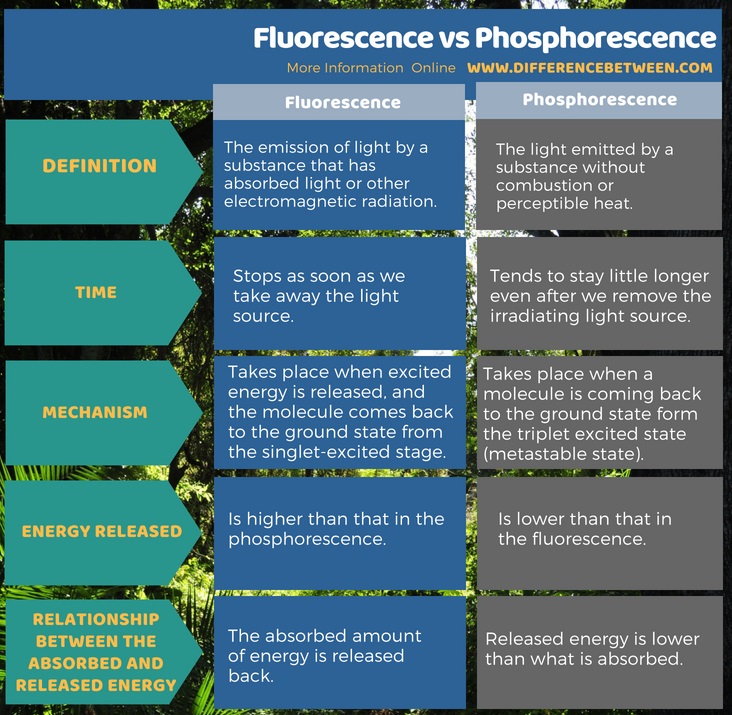 Difference Between Fluorescence and Phosphorescence in Tabular Form