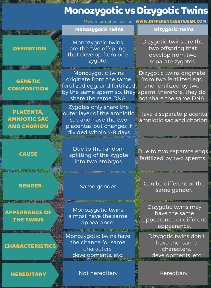 Difference Between Monozygotic and Dizygotic Twins in Tabular Form