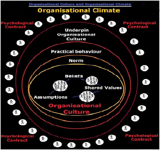 Difference Between Organizational Culture and Climate