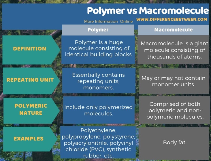 Difference Between Polymer and Macromolecule in Tabular Form