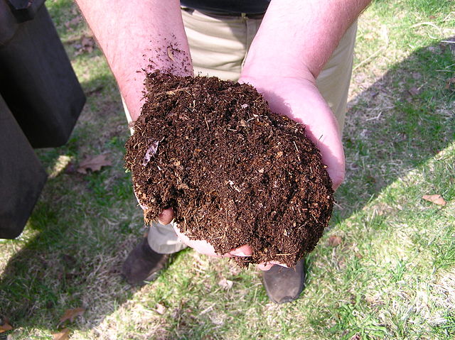 Difference Between Organic and Inorganic Fertilizer