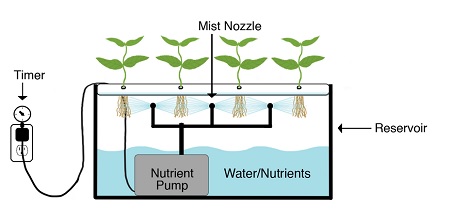  Hydroponics vs Aeroponics