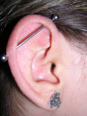 Difference Between Scaffold and Industrial Piercing