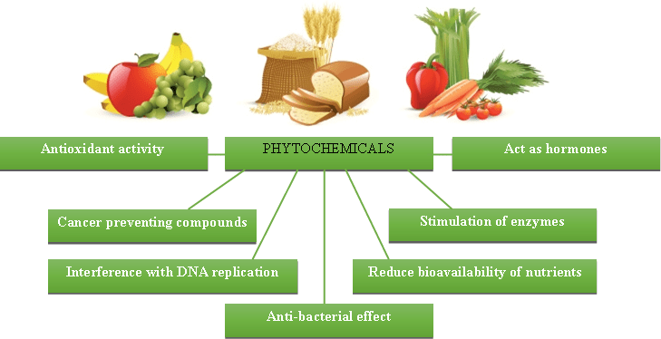  Difference Between Antioxidants and Phytochemicals