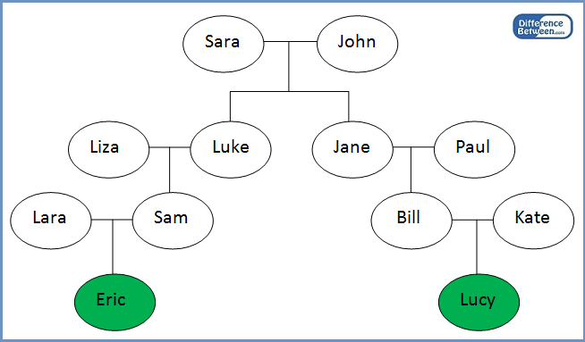 Difference Between First and Second Cousins -2