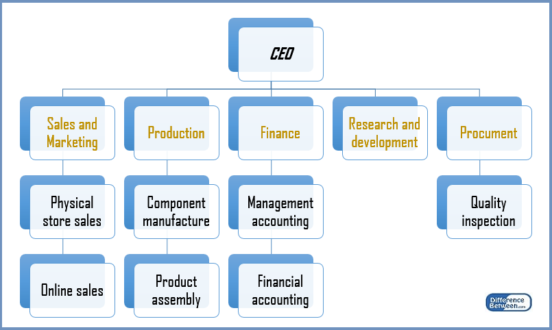 Difference Between Line Organization and Functional Organization