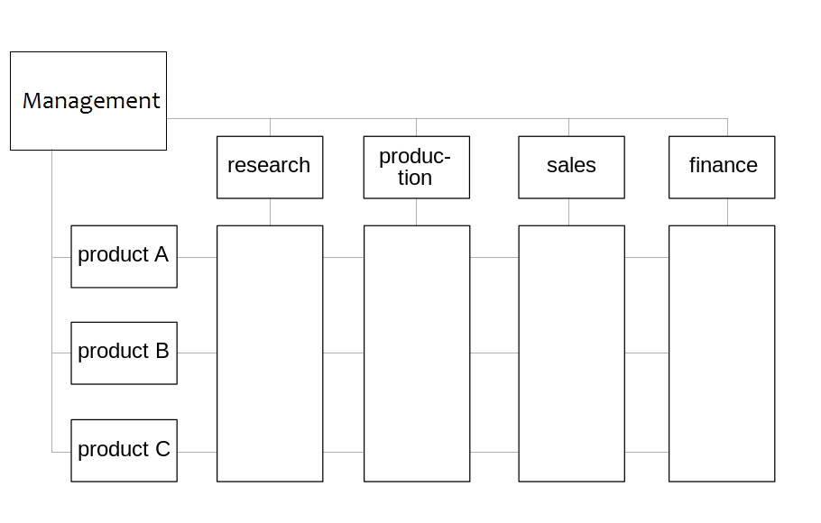 Difference Between Matrix and Functional Structure